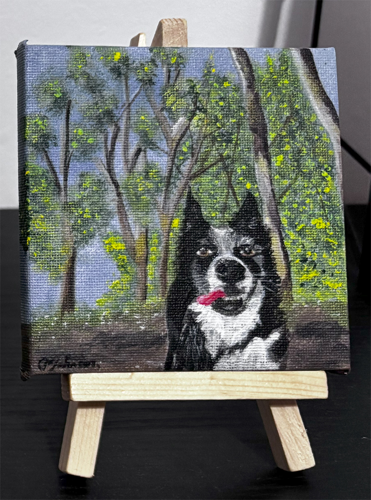 Border-Collie.jpg