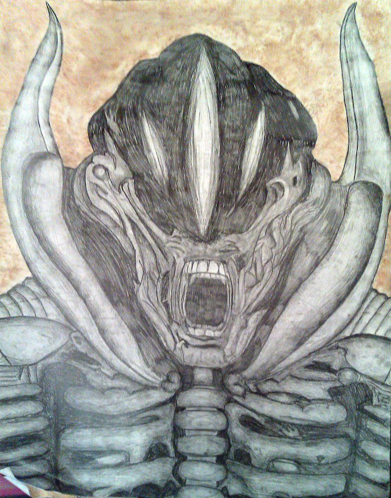 IMAG0176.jpg